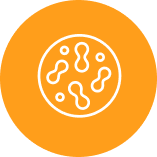 All Crunch. No Compromise.